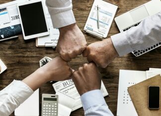 Co wniosę do zespołu?