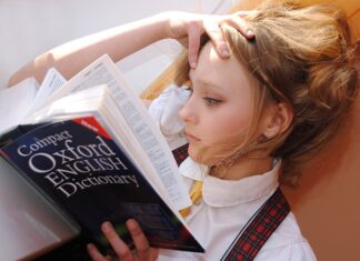 Czy doradca podatkowy musi znać angielski?