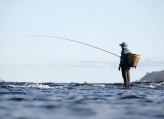 Co zalicza się do środków dydaktycznych? Co zalicza się do środków dydaktycznych?