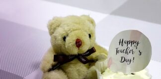 Czy można zatrudnić nauczyciela bez kwalifikacji?