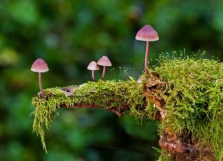 Jakie są rodzaje procesów technologicznych? Jakie są rodzaje procesów technologicznych?