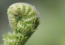 Jak rozwijać kompetencje emocjonalne?