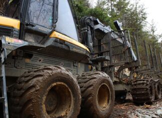 Co jest lepsze spedytor czy logistyk?