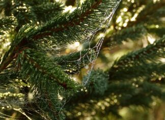 Czy wraz z biegiem lat zmieniają się potrzeby edukacyjne człowieka? Czy wraz z biegiem lat zmieniają się potrzeby edukacyjne człowieka?