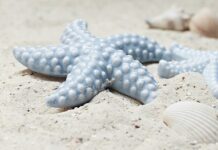 Które skorupiaki prowadzą osiadły tryb życia?