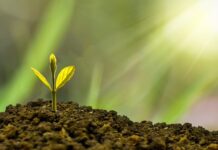 Jak wspomóc rozwój intelektualny dziecka?