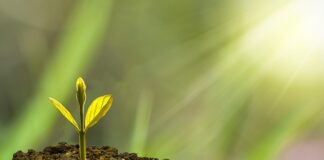 Jak wspomóc rozwój intelektualny dziecka?