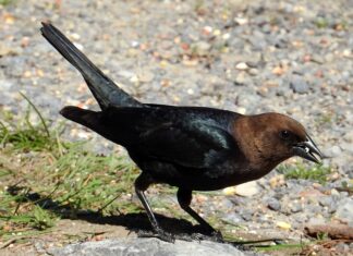 W jakim kraju jest najgorszy system edukacji?