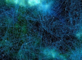 Co regeneruje neurony? Co regeneruje neurony?