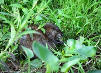 Co jest rezultatem nauczania? Co jest rezultatem nauczania?