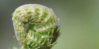 Jak rozwijać kompetencje kluczowe w szkole?