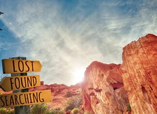 Jakie są formy doskonalenia zawodowego nauczycieli? Jakie są formy doskonalenia zawodowego nauczycieli?