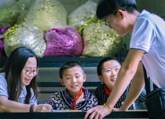 Jak udokumentować wolontariat do liceum? Jak udokumentować wolontariat do liceum?