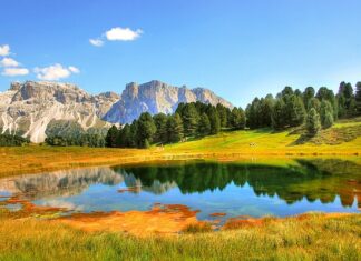 Jaki jest zakres pedagogiki pracy? Jaki jest zakres pedagogiki pracy?