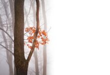 Co należy zrobić aby wyeliminować negatywne skutki pracy w pozycji siedzącej?