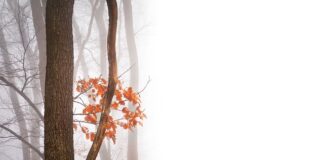 Co należy zrobić aby wyeliminować negatywne skutki pracy w pozycji siedzącej?