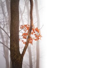 Co należy zrobić aby wyeliminować negatywne skutki pracy w pozycji siedzącej?