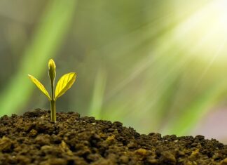 Jak wspierać rozwój społeczny dziecka?