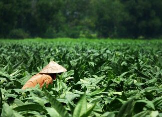 Co wpisać w dodatkowe zajęcia edukacyjne?