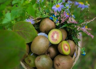 Co jeść a czego nie na redukcji? Co jeść a czego nie na redukcji?