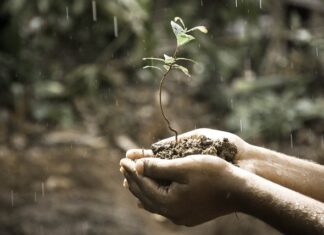 Co wpływa na rozwój społeczny dziecka?