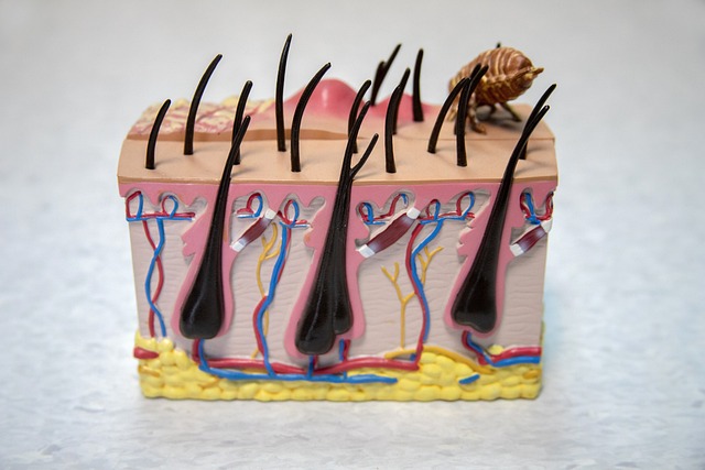 Co warunkuje proces kształcenia? Co warunkuje proces kształcenia?