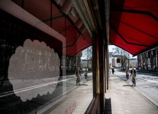 Jakie są poziomy edukacji? Jakie są poziomy edukacji?