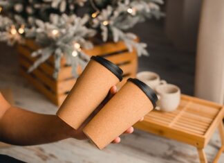 Kto zatwierdzą plan doradztwa zawodowego?