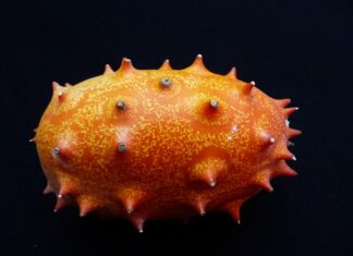 Czy świeży ogórek jest lekkostrawny? Czy świeży ogórek jest lekkostrawny?