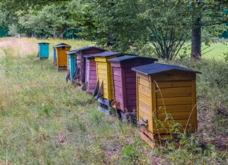 Co to jest opłata dystrybucyjna za prąd? Co to jest opłata dystrybucyjna za prąd?