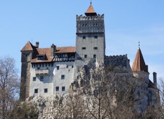 Czym zajmuje się branżą e-commerce?