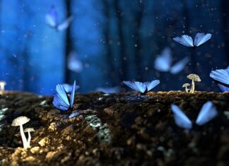 O czym jest bajka Krasickiego?