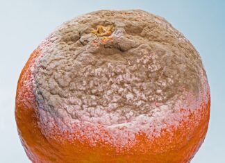 Jakie są formy zajęć? Jakie są formy zajęć?