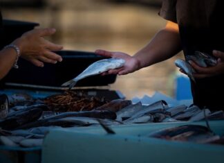 Gdzie można sprzedawać w internecie? Gdzie można sprzedawać w internecie?