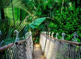 Ile trwa kurs na doradcę podatkowego? Ile trwa kurs na doradcę podatkowego?