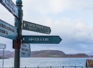 Jakie są kierunki pedagogiki? Jakie są kierunki pedagogiki?