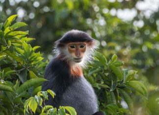 Ile wyróżniamy rodzajów produkcji? Ile wyróżniamy rodzajów produkcji?