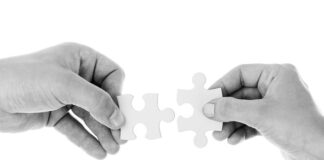 Co jest najważniejsze we współpracy?