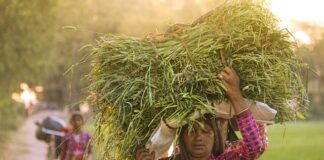 Dlaczego osoby pracujące w pozycji stojącej powinny regularnie napinać i rozluźniać mięśnie nóg pleców i brzucha?