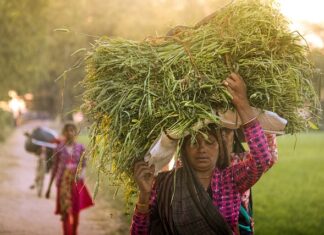 Dlaczego osoby pracujące w pozycji stojącej powinny regularnie napinać i rozluźniać mięśnie nóg pleców i brzucha?