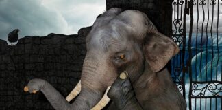 Dlaczego nie mogę się skupić?