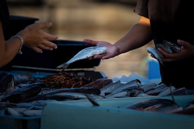 Jak zacząć sprzedawać w internecie bez sklepu? Jak zacząć sprzedawać w internecie bez sklepu?