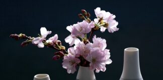 Ile paczek dziennie w Polsce?