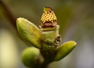 Co utrudnia rozwijanie kompetencji kluczowych? Co utrudnia rozwijanie kompetencji kluczowych?