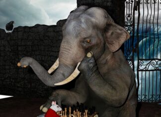 Co zrobić żeby skupić się na lekcji?