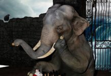 Jak skupić się na celach?