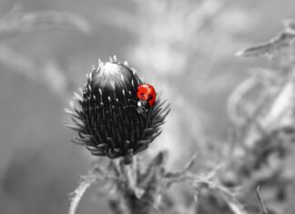 Co zrobić żeby mieć wypukła pupę? Co zrobić żeby mieć wypukła pupę?