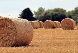 Jaka jest rola marketingu? Jaka jest rola marketingu?