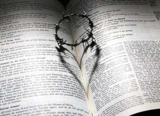 Czym charakteryzuje się dobry zespół?