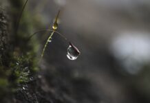 Jak działa tryb skupienia?